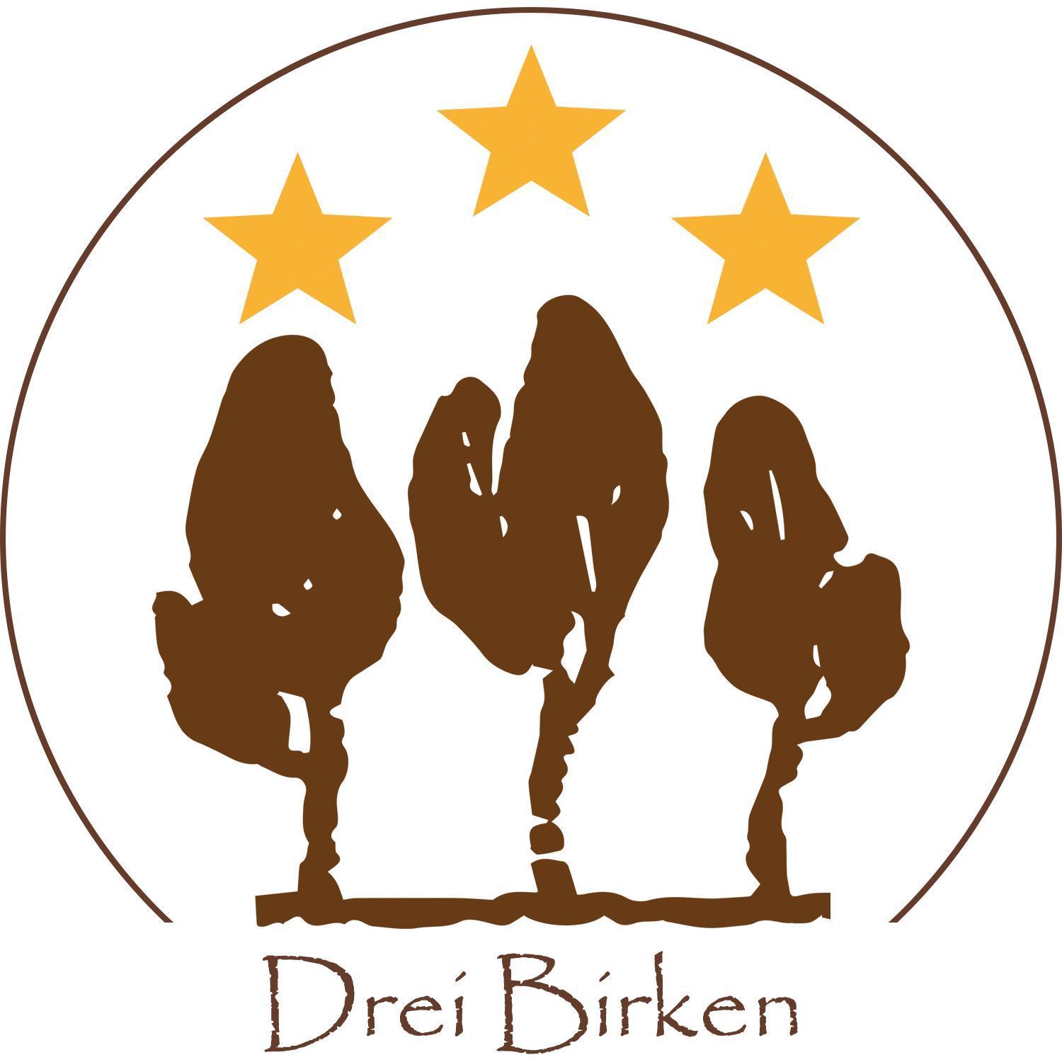 Hotel Drei Birken à Soprabolzano Extérieur photo